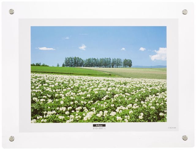 アクリル製ピクチャーフレーム壁掛けタイプA 4判 フ ACH A 4 エレクトロニクス