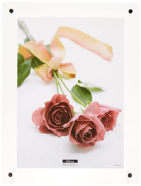 【中古】【非常に良い】NAKABAYASHI アクリル製ピクチャーフレーム スタンドタイプ A4 フ-ACS-A4