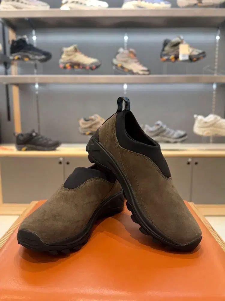 メレル ウィンター ウール モス 250