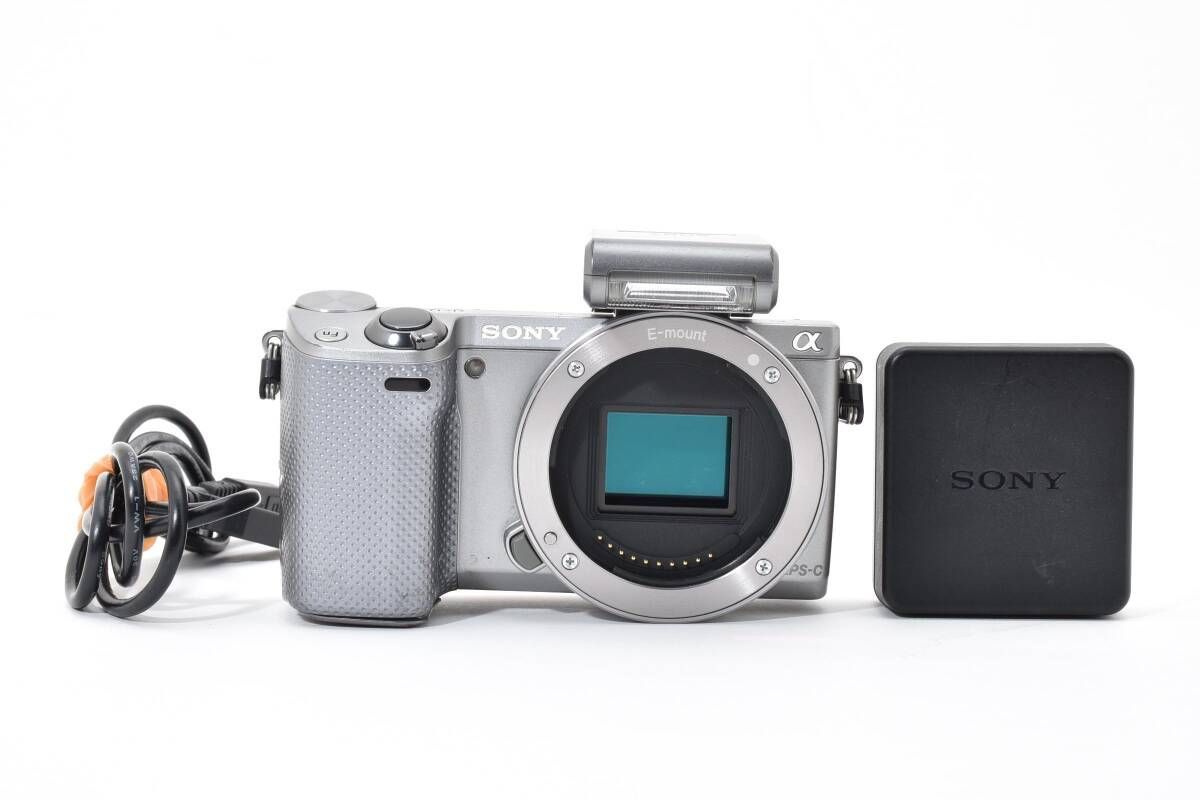 大 SONY ソニー α NEX 5 R ボディ ミラーレス一眼 29
