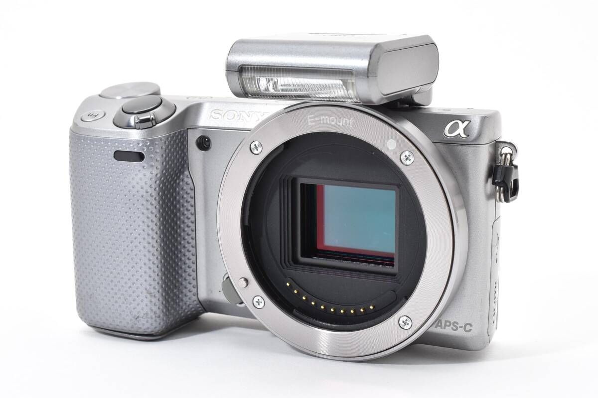 大 SONY ソニー α NEX 5 R ボディ ミラーレス一眼 29