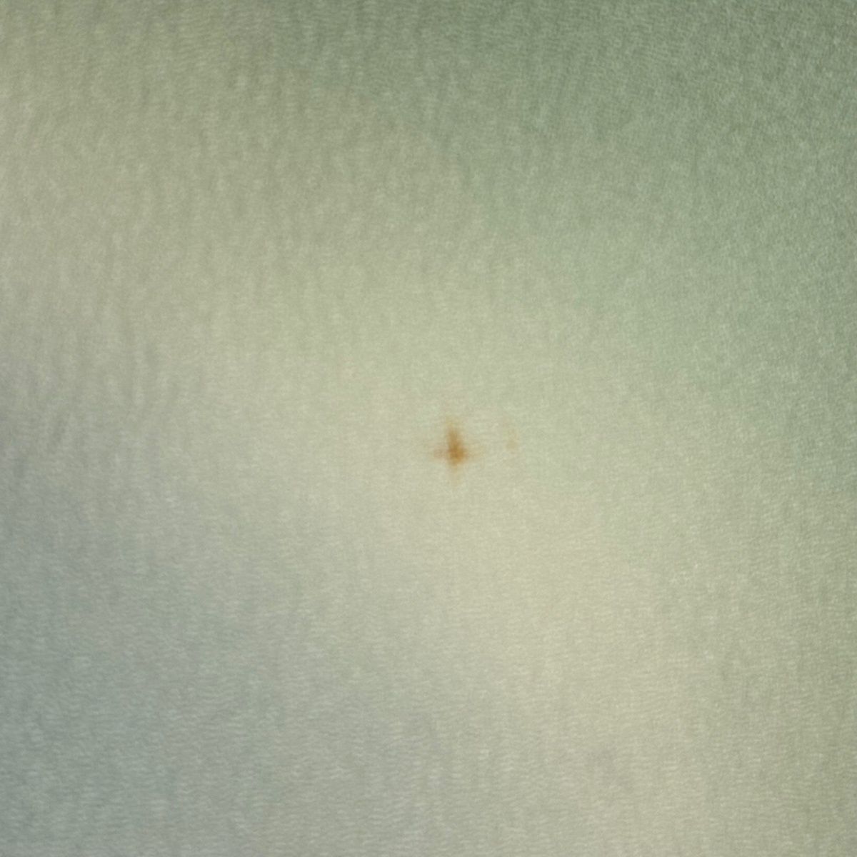  訪問着 身丈158 cm 裄丈64.5 M 袷 雪輪 菊 金糸 金彩 青灰色 正絹 訪問着 付け下げ 着物