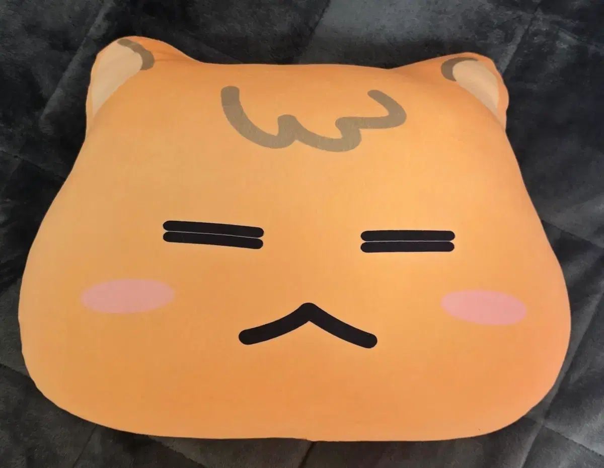 INFINITE キム ソンギュ 규찌 クッション