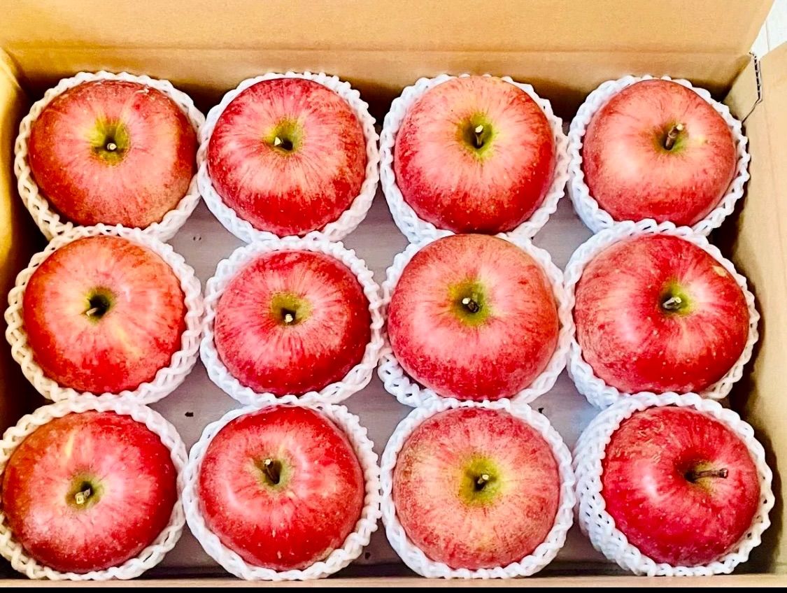 ⭐️サンふじ 産地直接 秀品 贈答用 10K⭐️