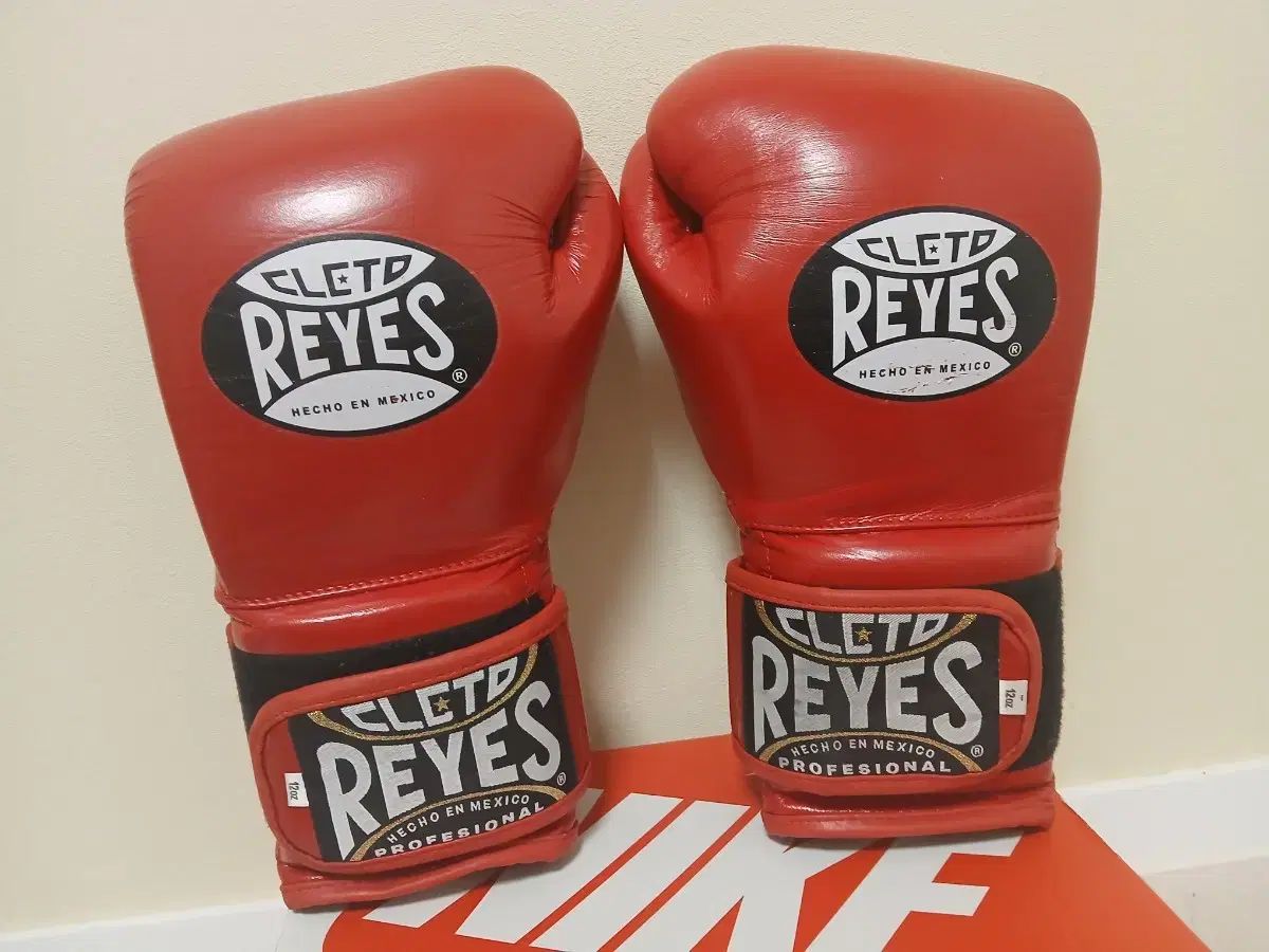 レエース フックアンドループ ボクシング グローブ