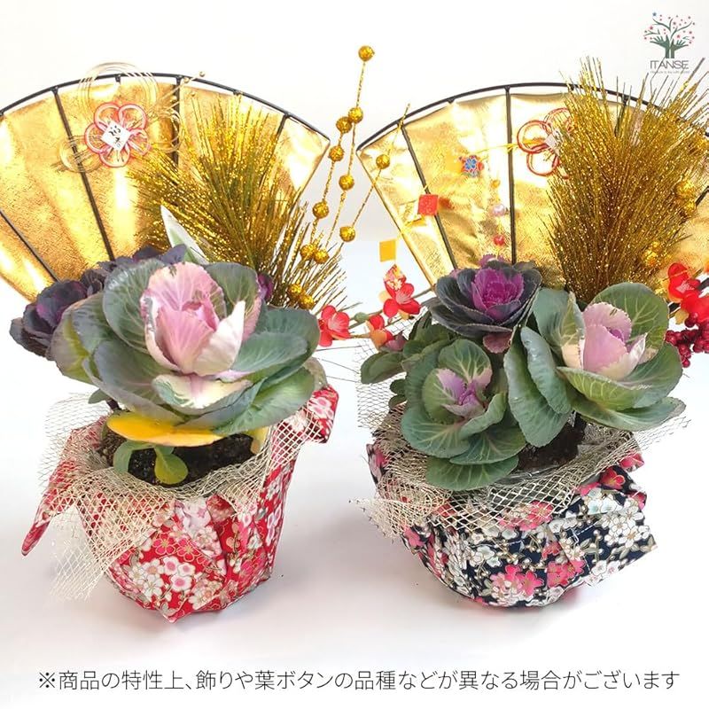 ＩＴＡＮＳＥ お正月飾り 迎春華つづみ 寄植えアレンジ 鉢カバー 黒 A 売り 4号鉢