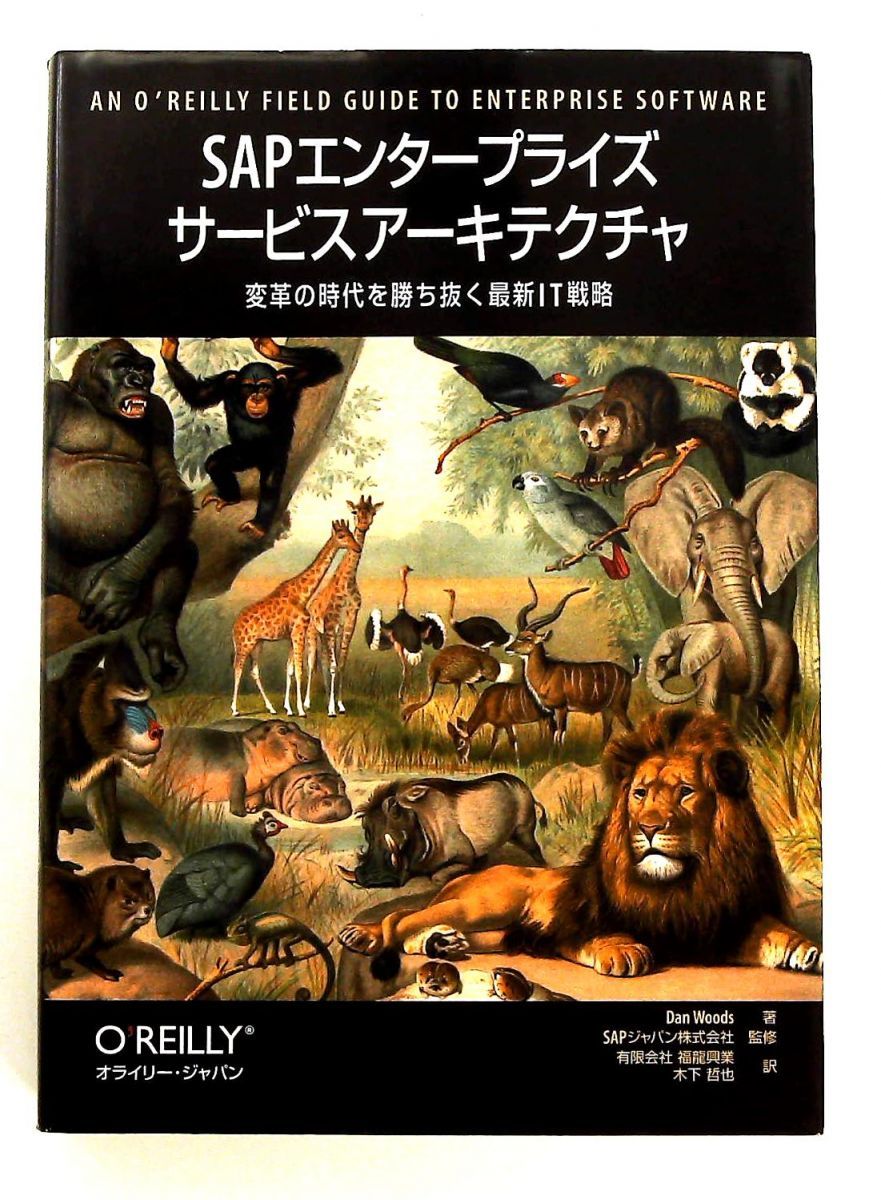 SAPエンタープライズサービスアーキテクチャ 変革の時代を勝ち抜く最新IT戦略 単行本 ダン ウッズ 福龍興業 木下哲也 オ
