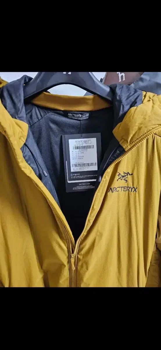 ARC TERYX アークテリクス Atom AR フーディ 24 K L