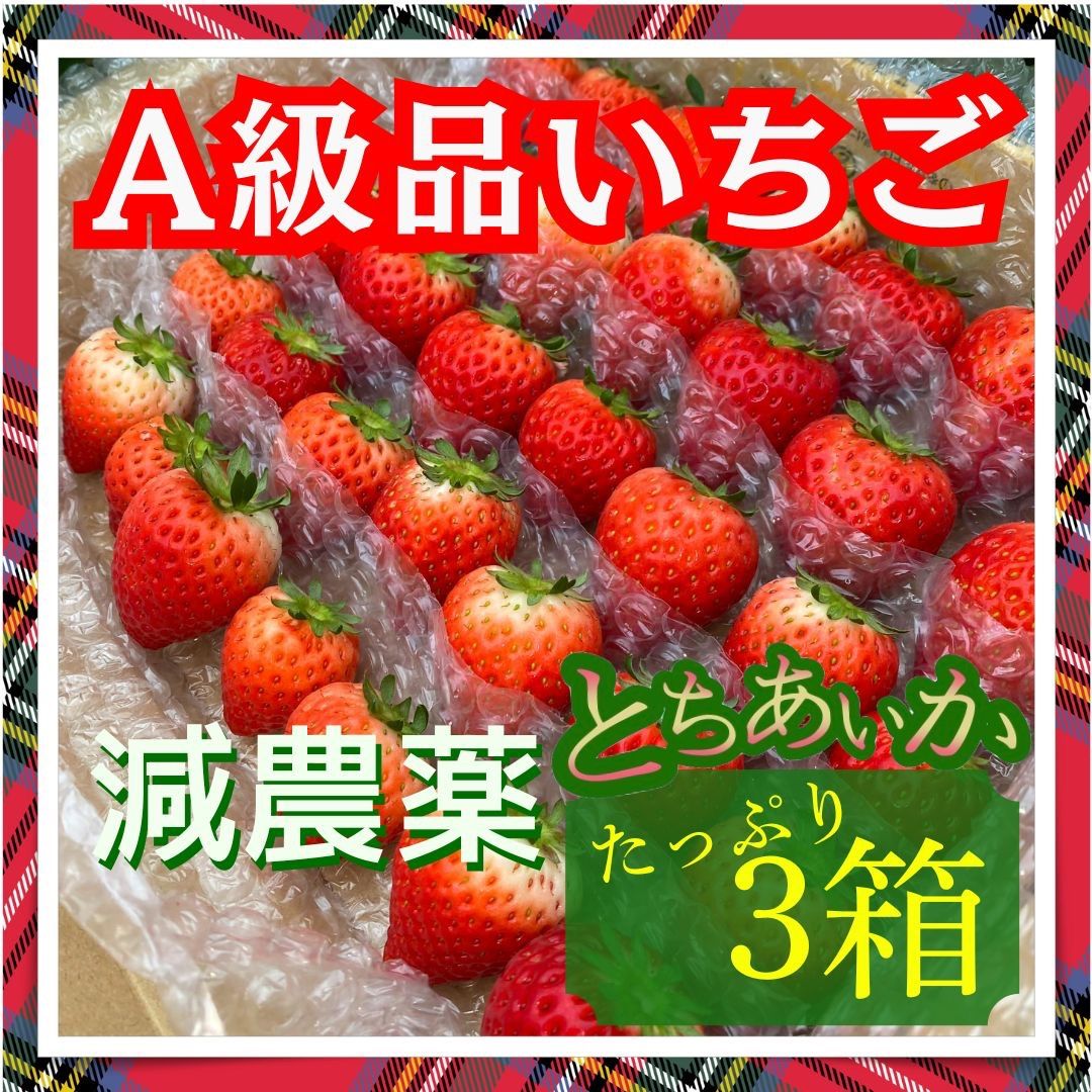 A級品 いちご 栃木 とちあいか 減農薬 A級品 とちあいか【3箱/2.16kg】いちご 減農薬 栃木県産