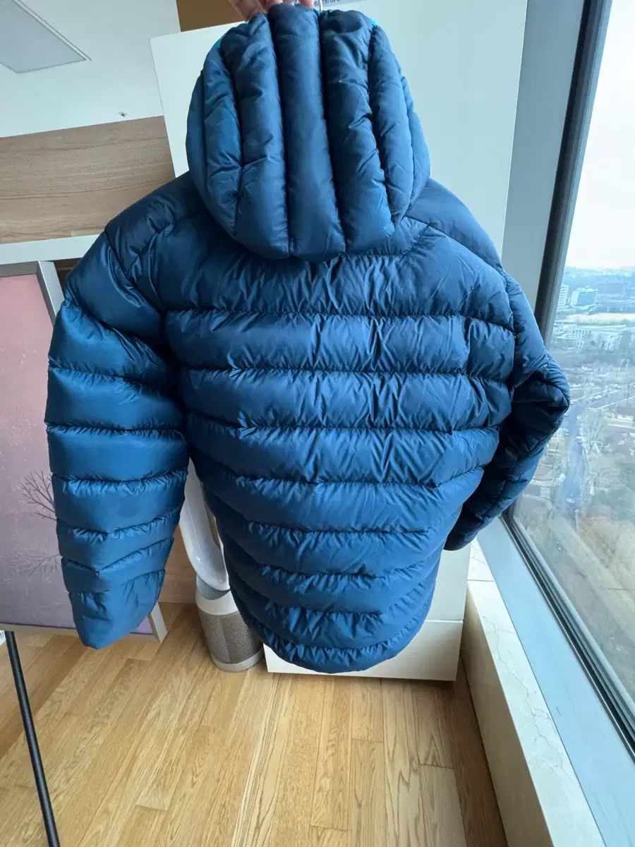 ARC TERYX Cerium アークテリクス セリウム フーディー Lサイズ ラージ