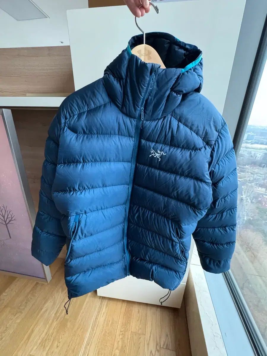 ARC TERYX Cerium アークテリクス セリウム フーディー Lサイズ ラージ