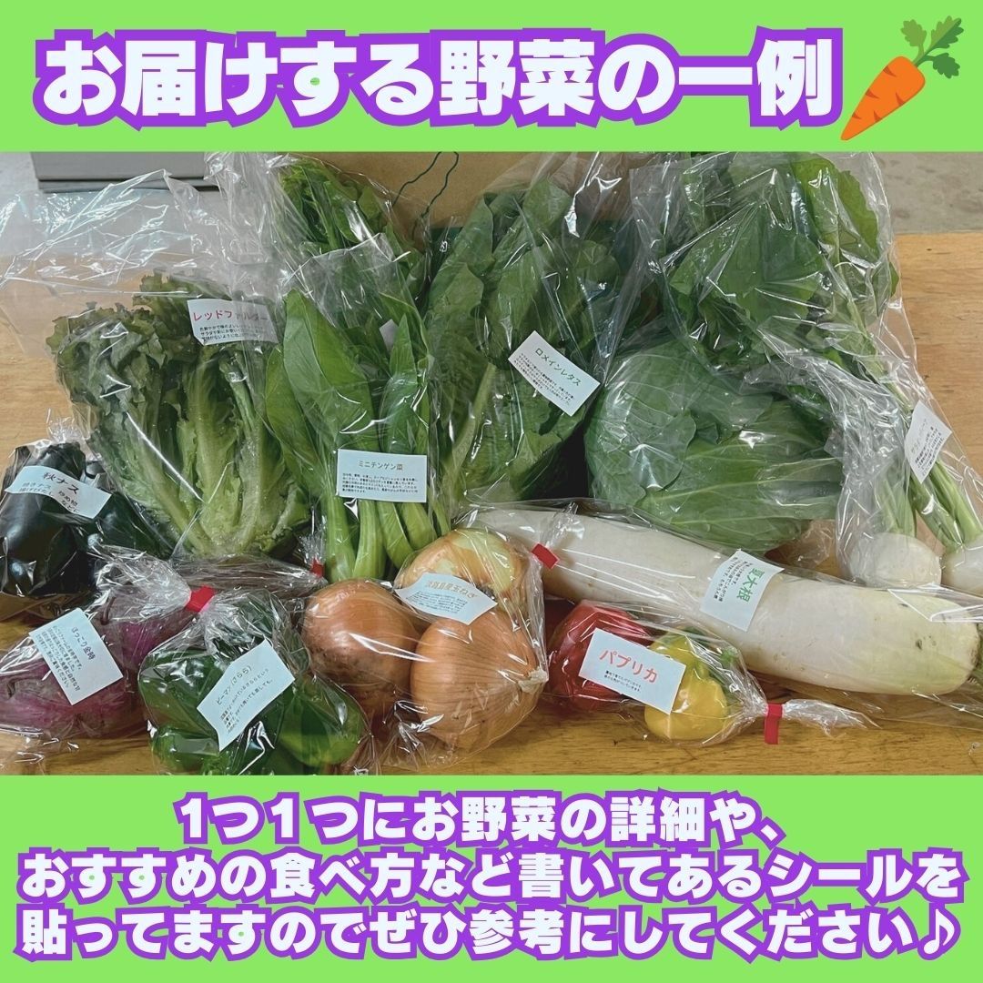 淡路島 野菜セット Lサイズ 季節の野菜11〜13種類入り 100サイズ 淡路島 野菜セット Lサイズ 季節の野菜11〜13種類入り 100サイズ