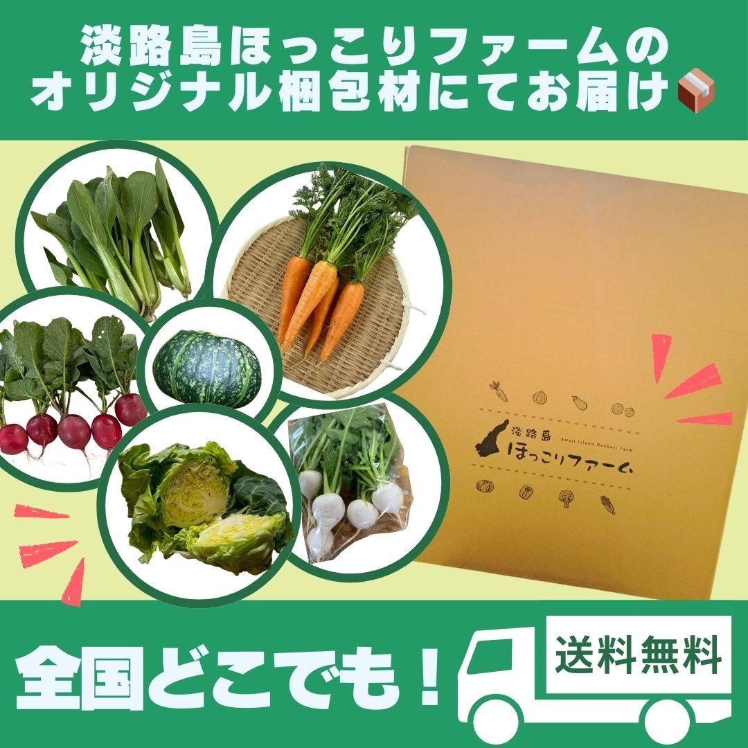 淡路島 野菜セット Lサイズ 季節の野菜11〜13種類入り 100サイズ