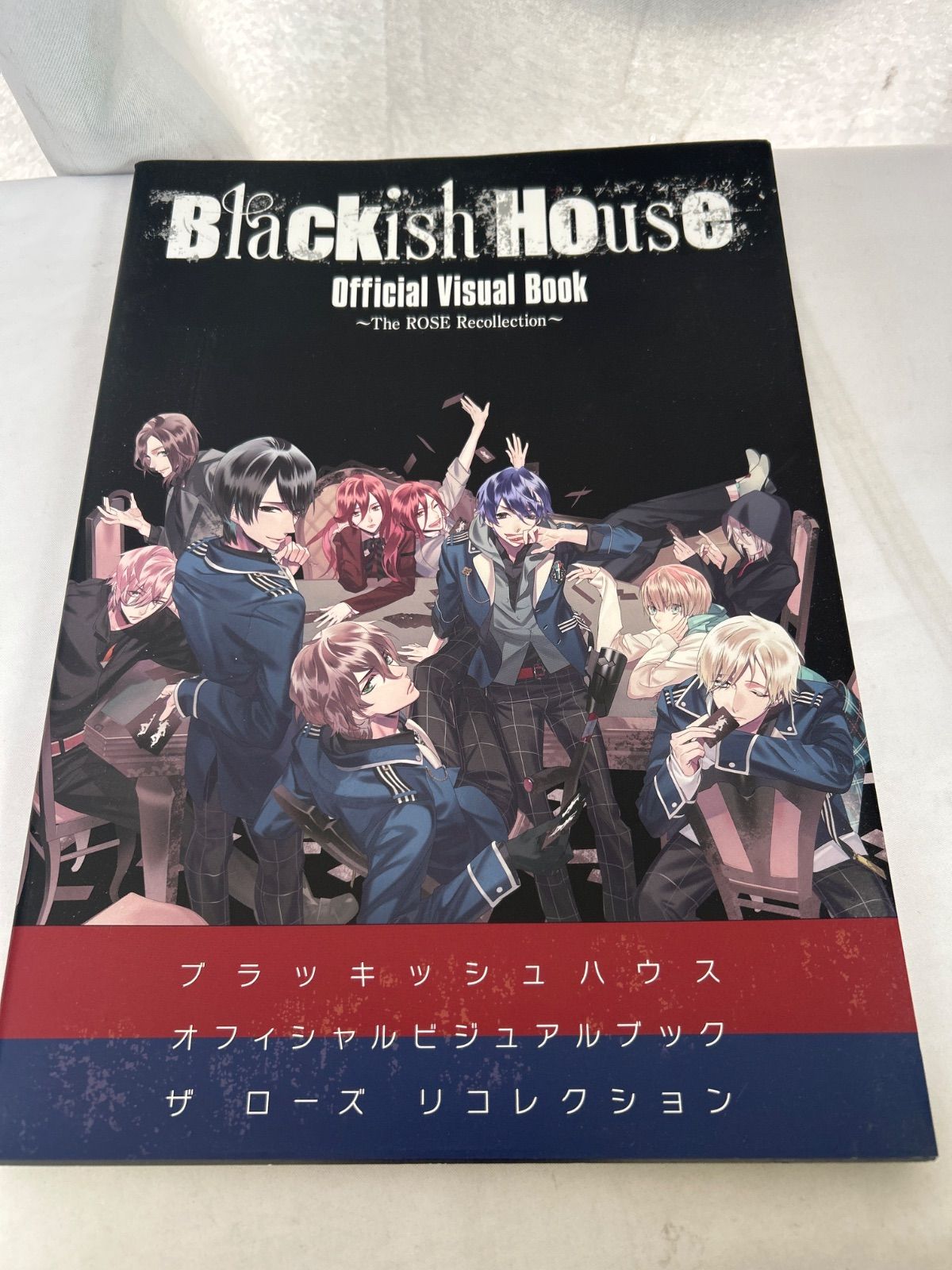 Blackish House Official Visual Book The ROSE Recollection ビジュアルブック【_sx-lt】ブラキッシュ ハウス オフィシャル ビジュアル ブック ザ ローズ レコレクション