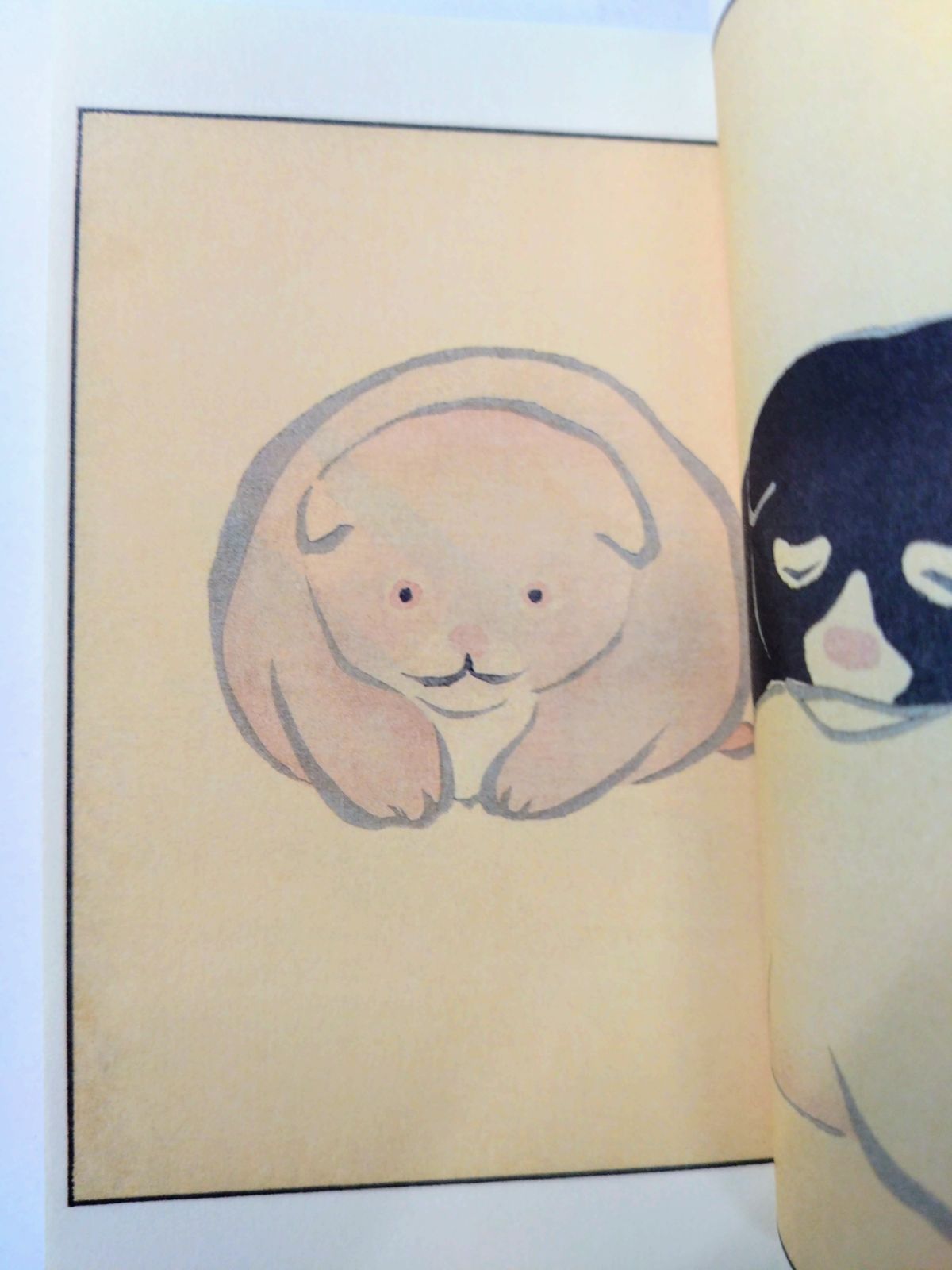 和綴じ豆本シリーズ第2集 10冊セット