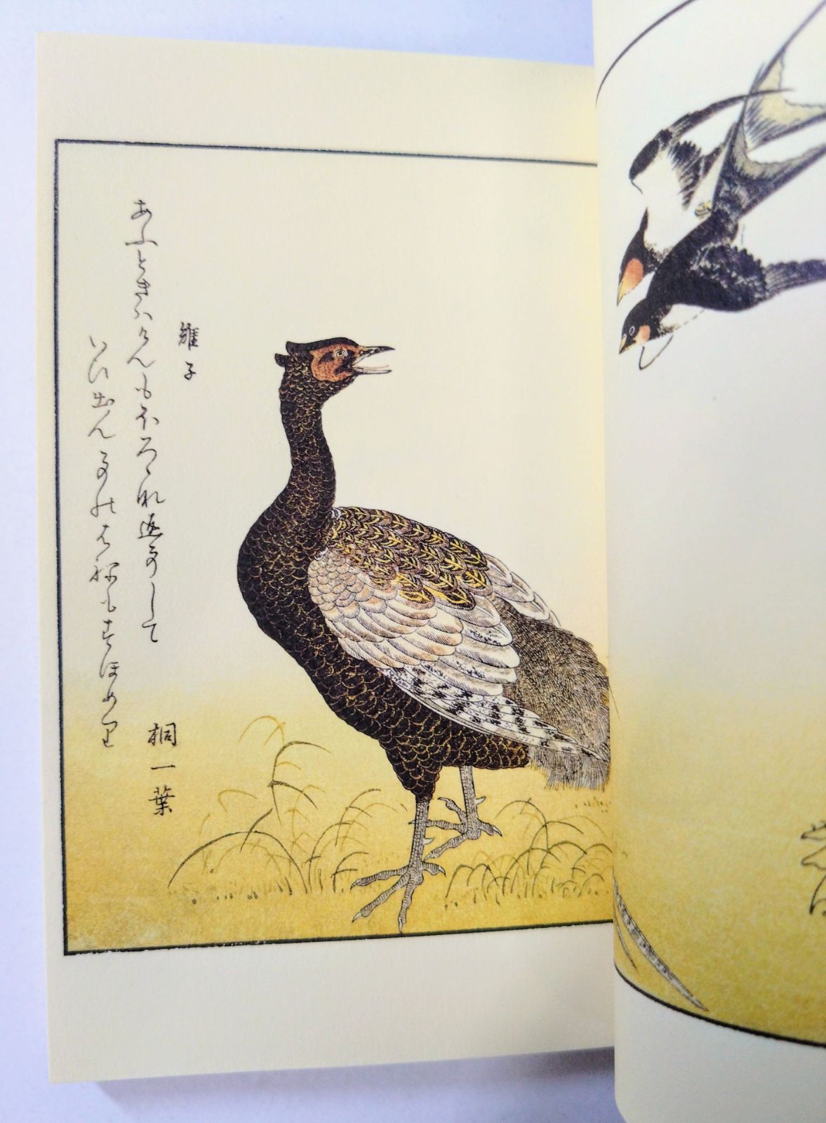 和綴じ豆本シリーズ第2集