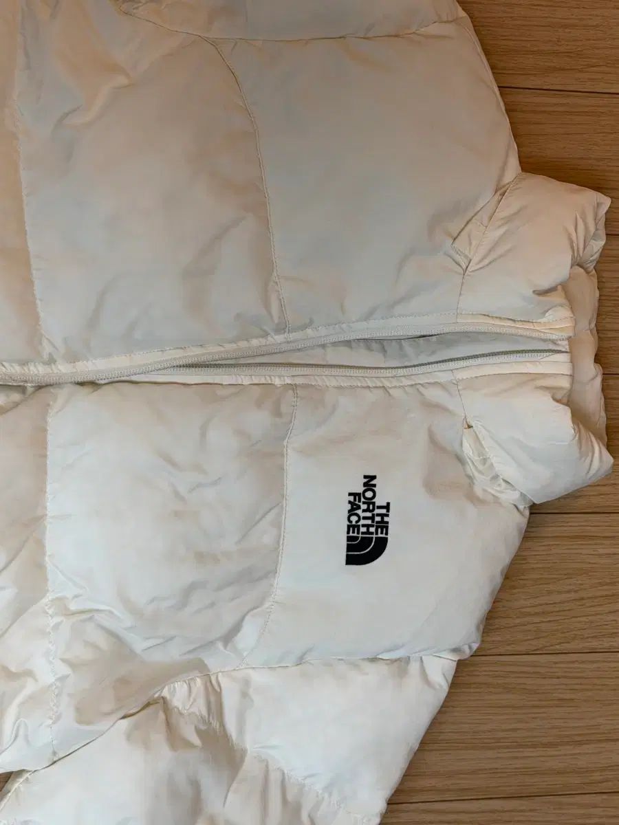 THE NORTH FACE ザノースフェイス キッズ ダウン 160 ドライ 完了