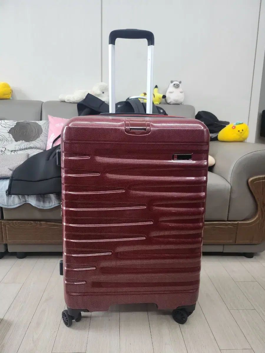 25インチ スワールミー スキャリアー