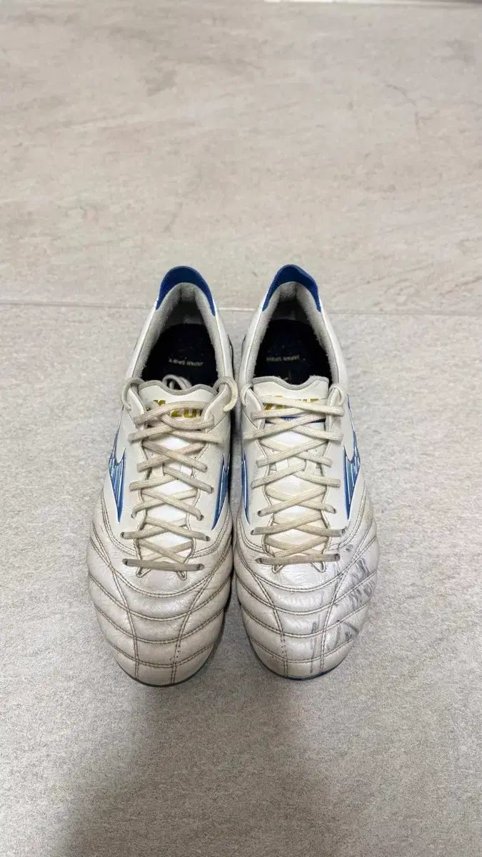 君のラブを見せてくれ! 1〜5巻 店舗購入特典21点セット ファッション