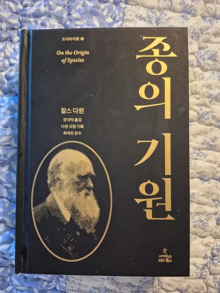 遊戯王　スリーブ　アラメシアの儀　55枚　中古品　リモートデュエル 遊戯王 スリーブ アラメシアの儀 55枚 中古品 リモートデュエル 2025年