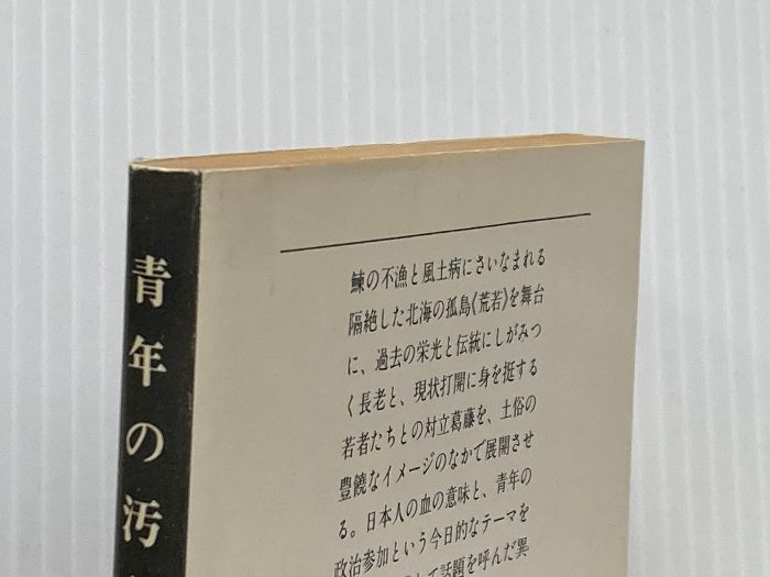 青年の汚名 文春文庫 110-1 文藝春秋 大江 健三郎