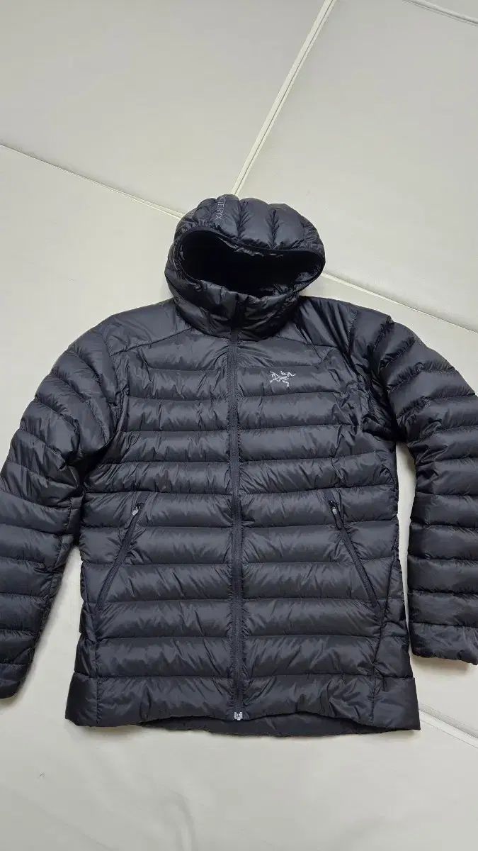 ARC TERYX Cerium フーディ M