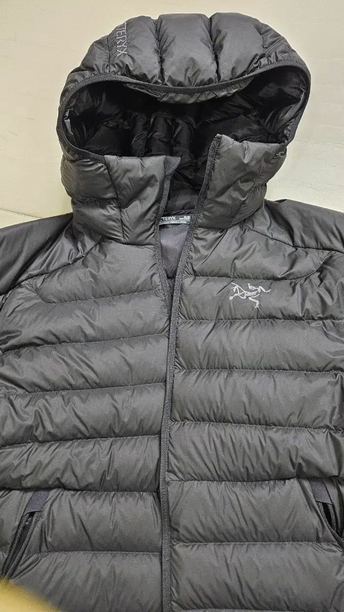 ARC TERYX Cerium フーディ M