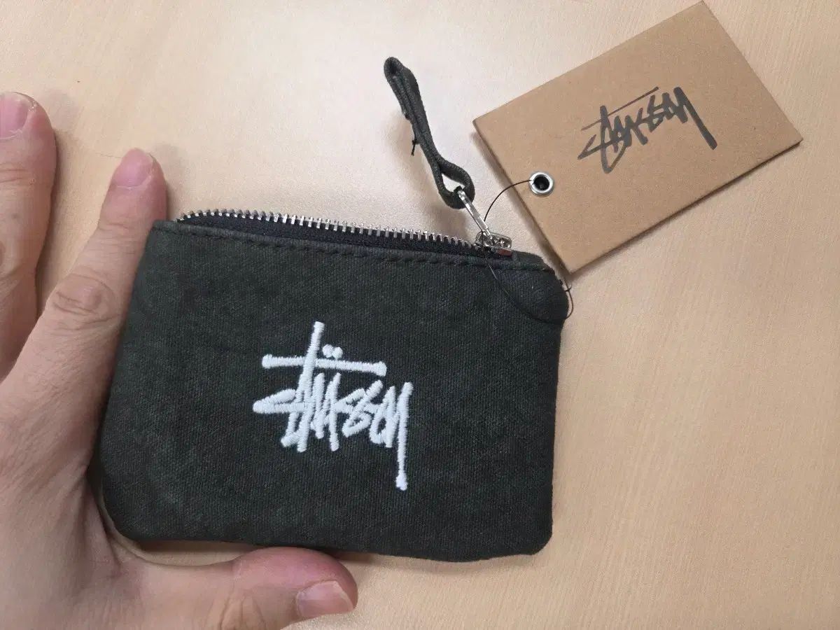 民族楽器 月琴 専用ケース 教本付き