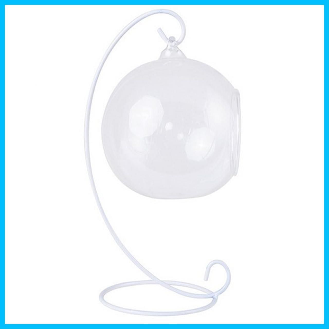 Rain Forest ガラス水槽 604530