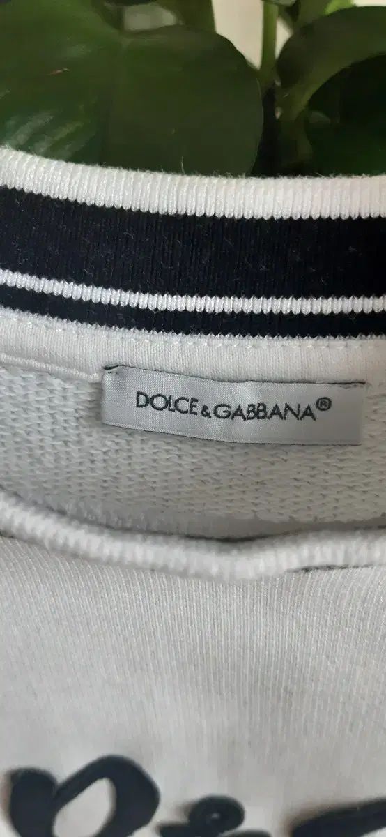  Dolce-Gabbana ドルチェ＆ガッバーナ D-G 白 スウェット Tシャツ キッズ Tシャツ トップス