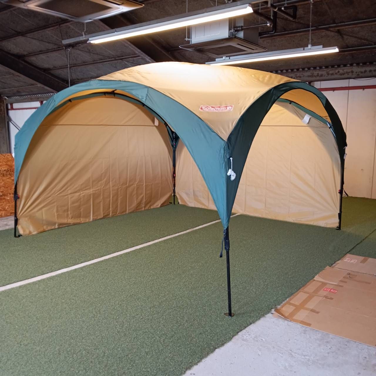 グリーン|ベージュ サイドウォール