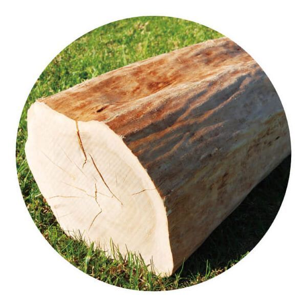 最新 生活の木 サンダルウッド・インド精油 白檀 3ml 5個セット 精油