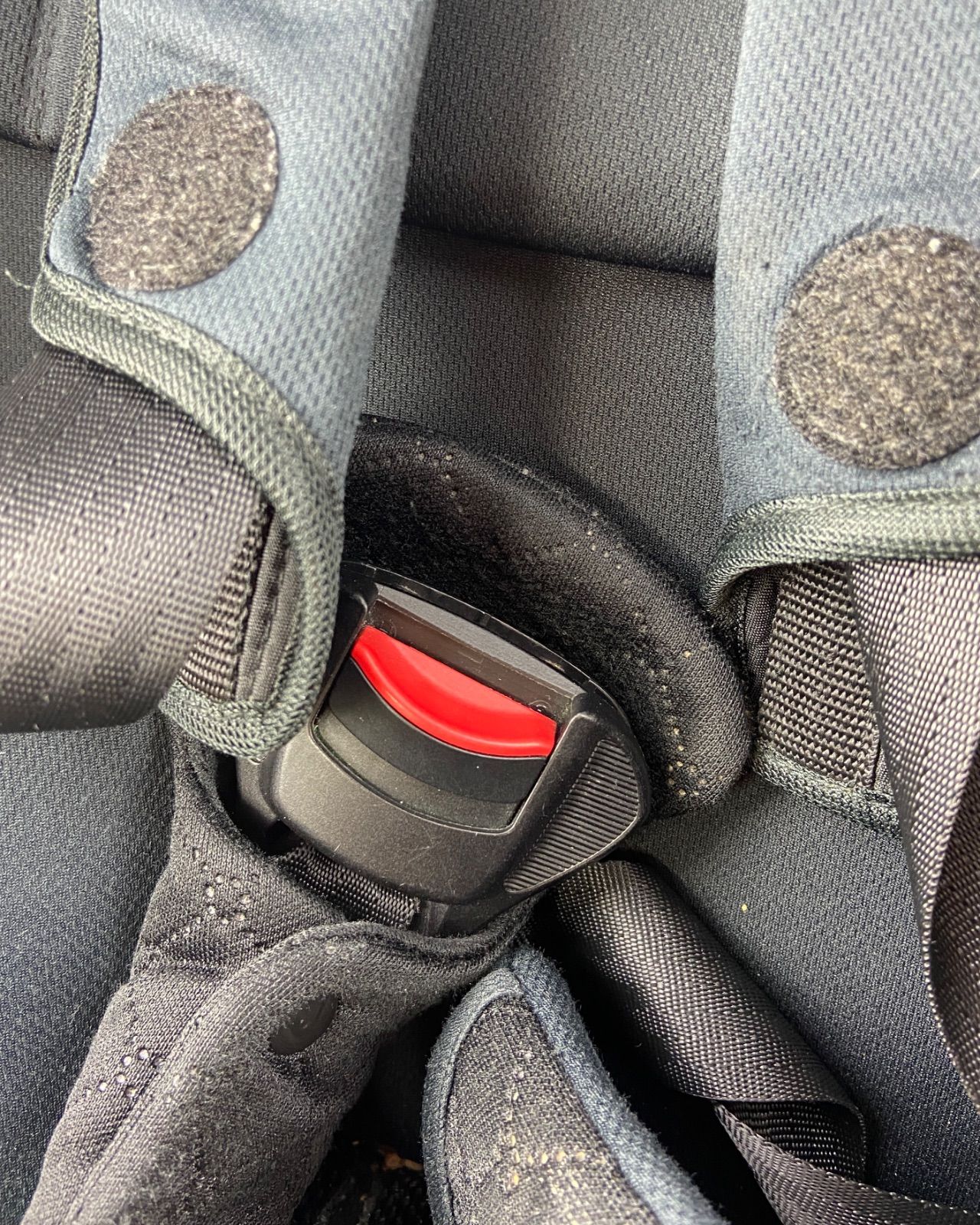 フラディア グロウ