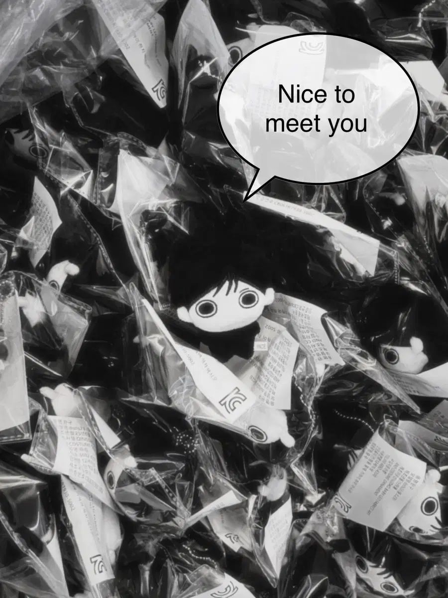 パク ケンニプ 金髪黒髪 セット BOYNEXTDOOR ボイネク ソンホ SUNGHO IN ぬいぐるみ