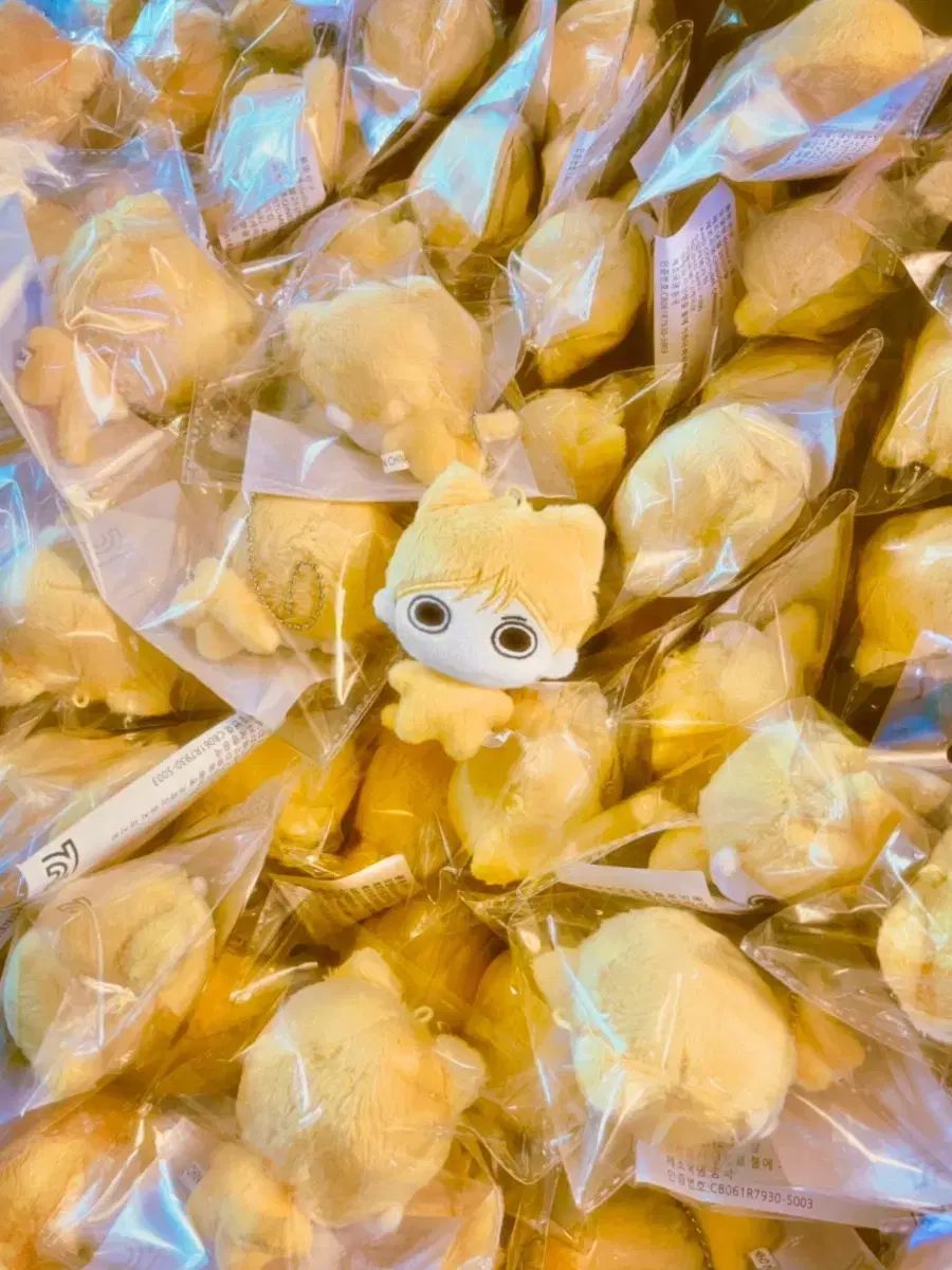 パク ケンニプ 金髪黒髪 セット BOYNEXTDOOR ボイネク ソンホ SUNGHO IN ぬいぐるみ