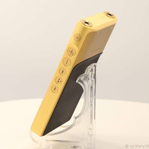 〔 品〕 WALKMAN WM 1 ZM 2 メモリ256 GB microSD ゴールド NW 262