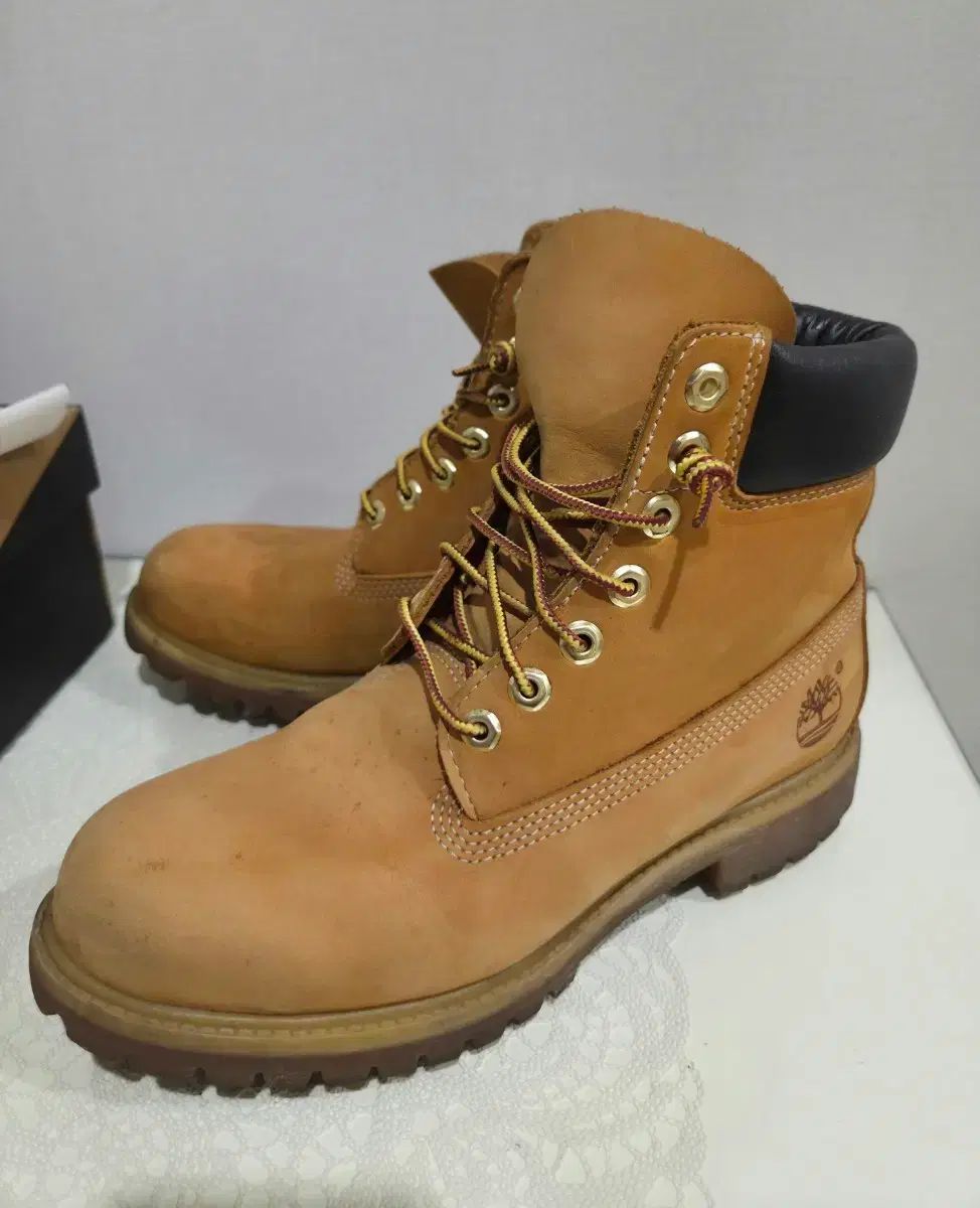 ティンバーランド 6インチ ム ブーツ 7 5 255 260