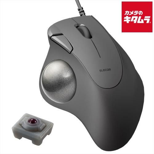 希少 ポールスミス マルチストライプ柄 スケートボード 新品 インテリア