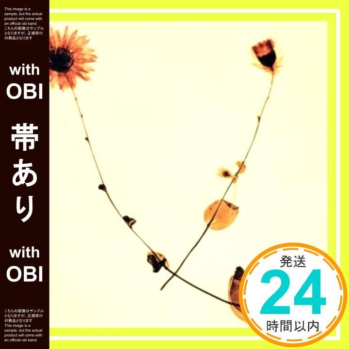 帯あり エチュード~春盤~ CD 川村結花? 川村結花 有賀啓雄_07