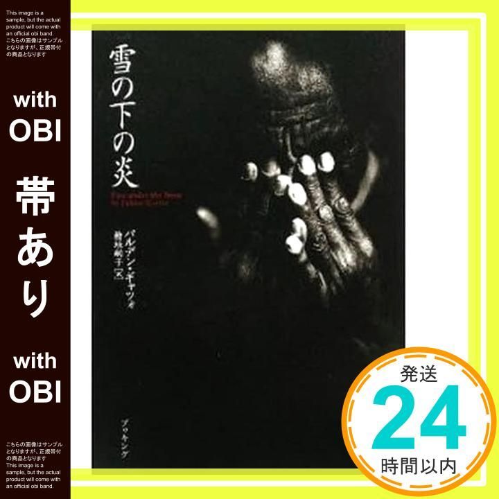 帯あり 雪の下の炎 パルデン ギャツォ 檜垣 嗣子_07