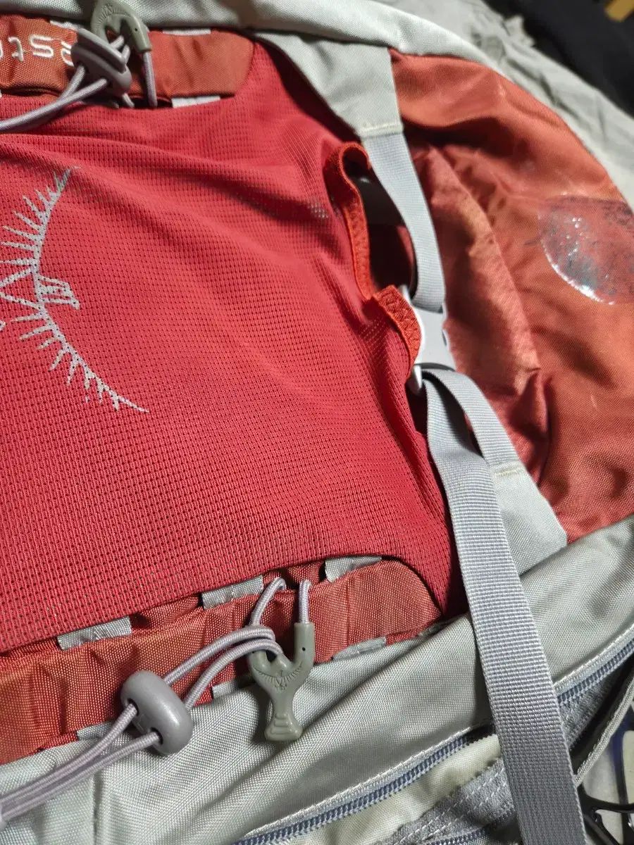 OSPREY ケストレル