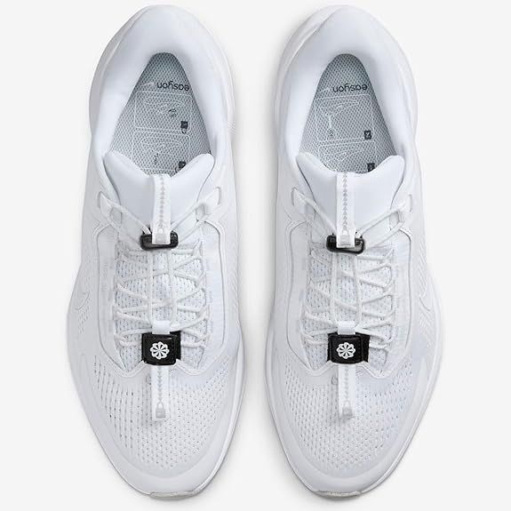 ペガサス イージーオン EasyOn Pegasus ナイキ | Nike [ナイキ] FQ7844-101 ウィメンズ Running Road NIKE - W シルト