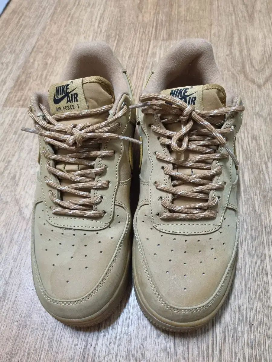 ナイキ エアフォース テンジャン 250