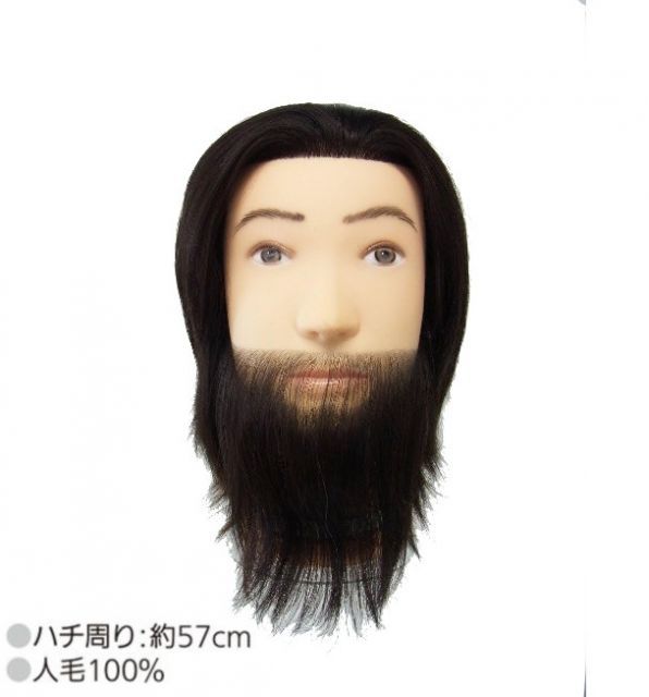 カットウィッグ メンズウィッグ ユーカリ R-011 理容師 散髪屋 床屋 実技試験 スタイリスト サロン カット パーマ ヘア セット 編み込み アップ 練習