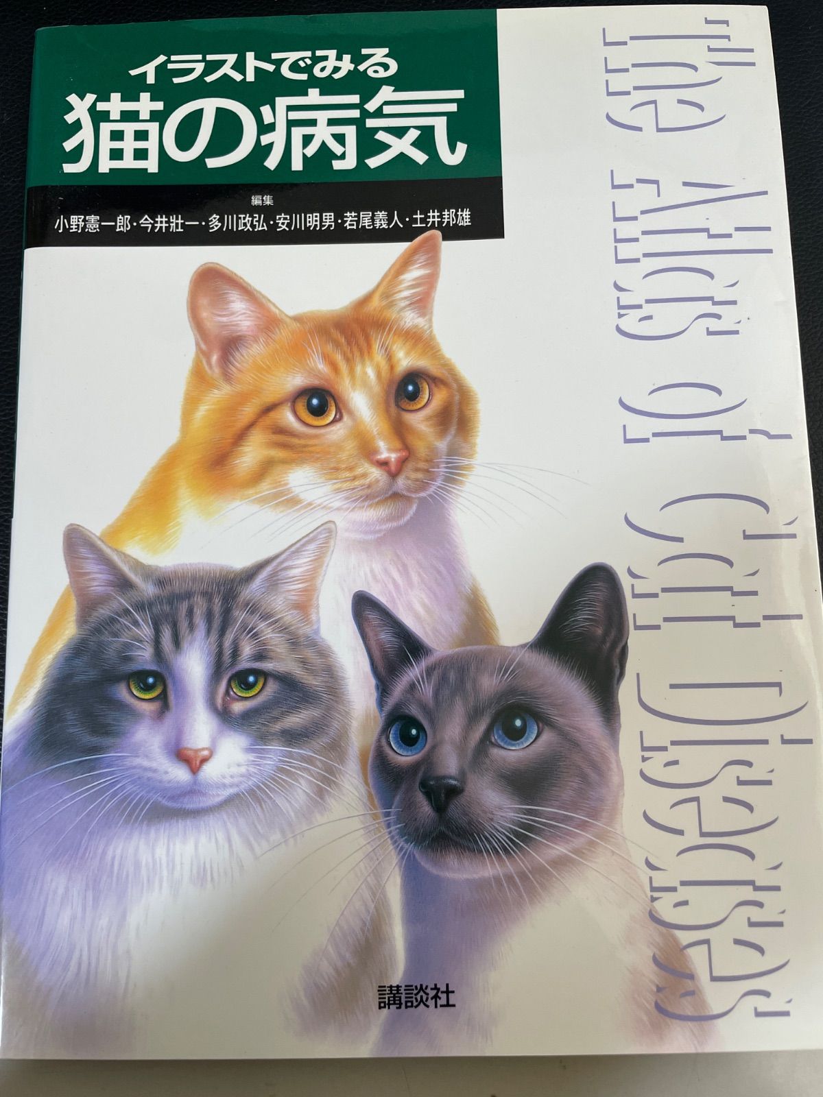 川/a142 イラストでみる猫の病気 KS農学専門書 ビッグブック - メルカリ