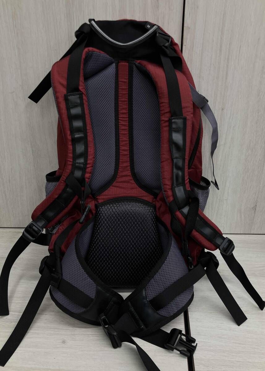 GREGORY Jug バックパック ワインレッド アウトドア リュック グレゴリー