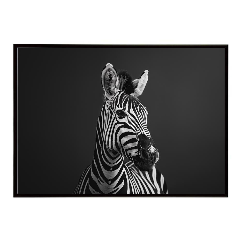 A2サイズ（約42x59cm）】【lh-poster-7102】Zebra シマウマ ゼブラ サバンナ アフリカ 草原 自然 ネイチャー 動物, image size:1000x1000