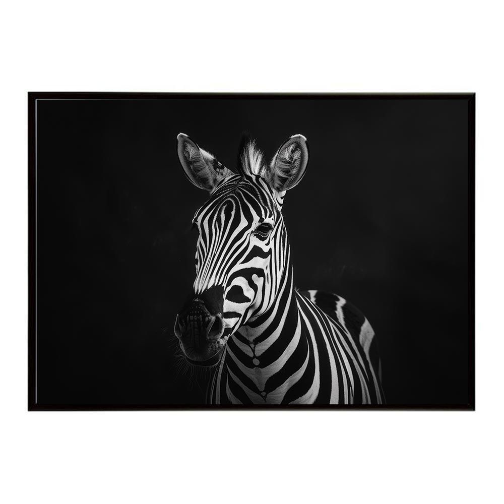 B2サイズ（約51x73cm）】【lh-poster-7110】Zebra シマウマ ゼブラ