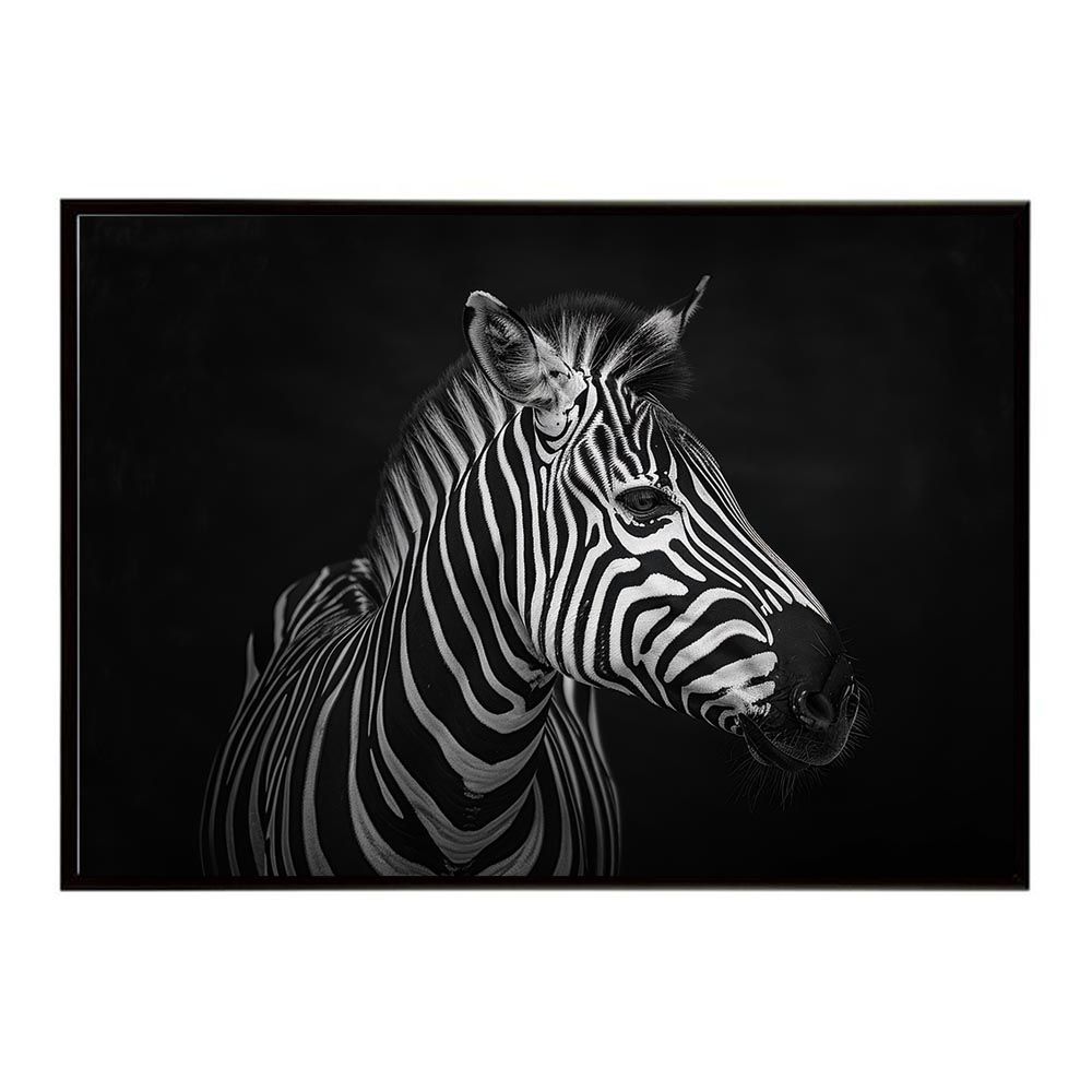 A1サイズ（約59x84cm）】【lh-poster-7116】Zebra シマウマ ゼブラ