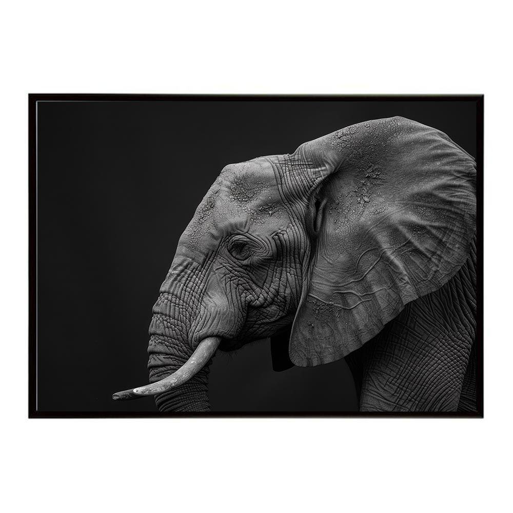 B1サイズ（約73x103cm）】【lh-poster-7120】Elephant ゾウ 販売済み